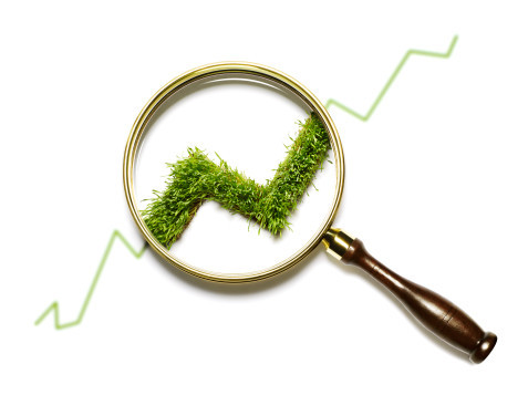 注册公司流程示意图