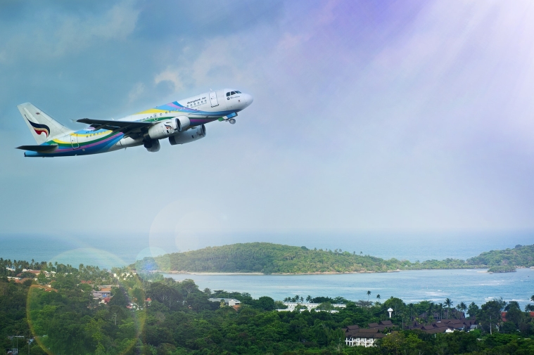 飞机草地 飞机草地